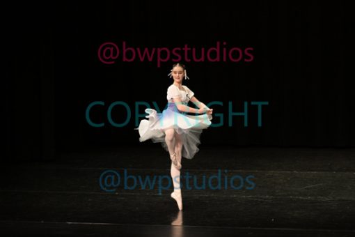 W04 9531