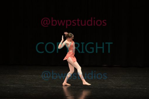W04 5081