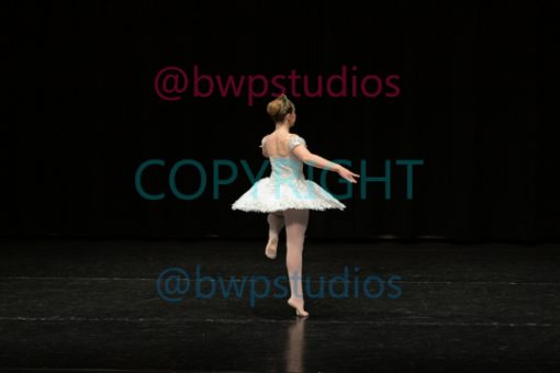 W05 2537