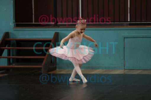W06 0350