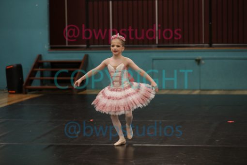 W06 6613