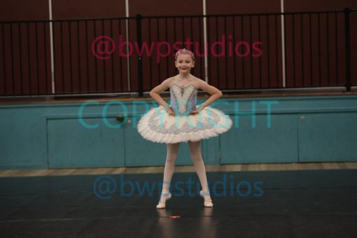 W06 6688