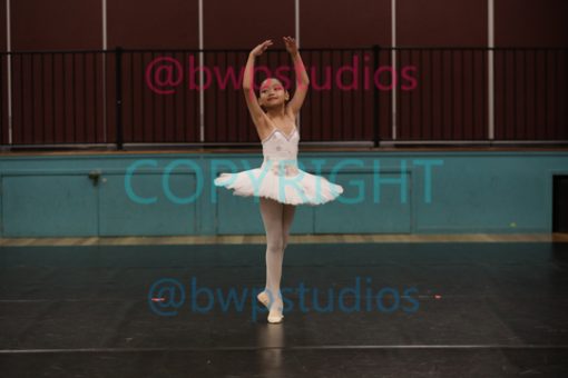 W06 6960