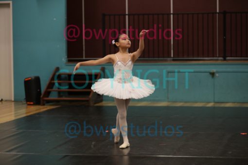 W06 6988