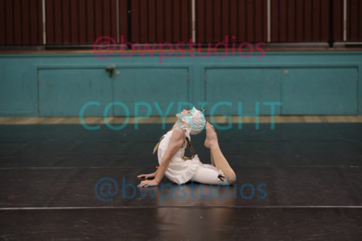W07 0688