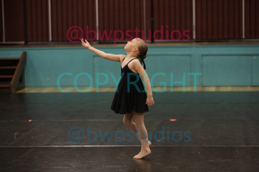 W07 0141