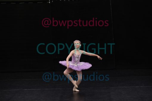 W08 0179