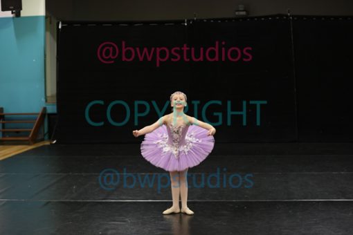W08 0183
