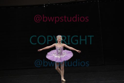 W08 0217