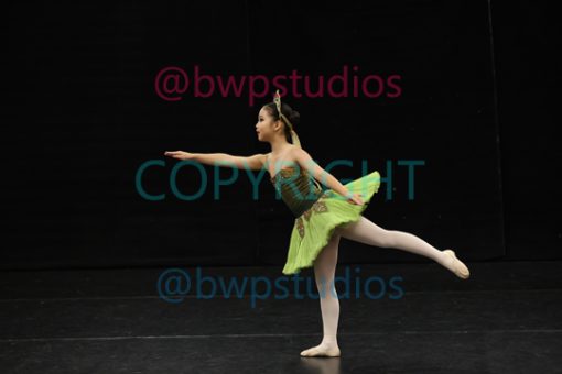 W08 0241