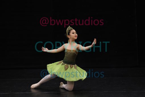W08 0246