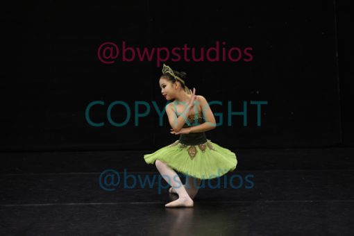 W08 0247
