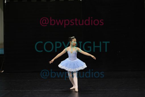 W08 0347