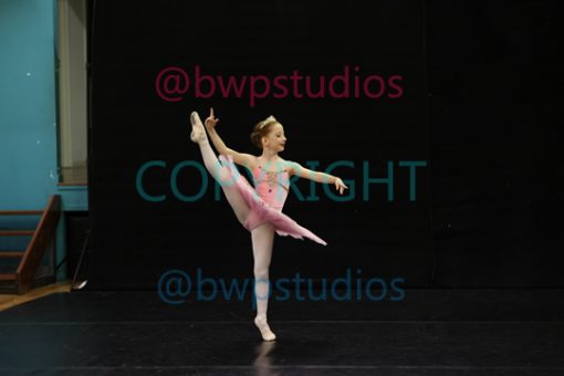 W08 0379