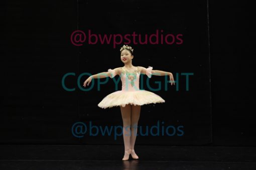 W08 0448