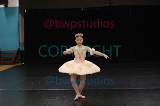 W08 0482