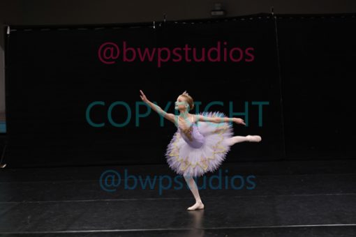 W08 0503