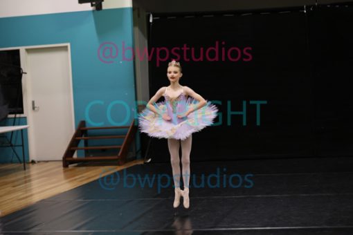 W08 0509