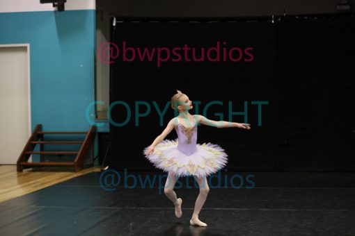 W08 0511