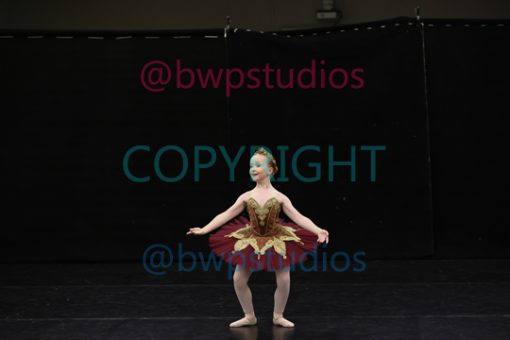 W08 1552