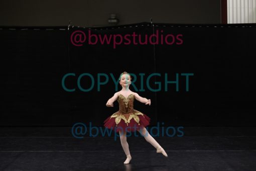W08 1554