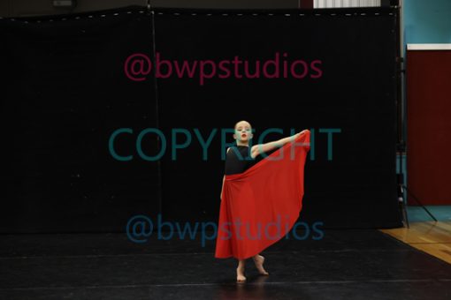 W09 2386