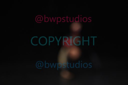 W09 2498