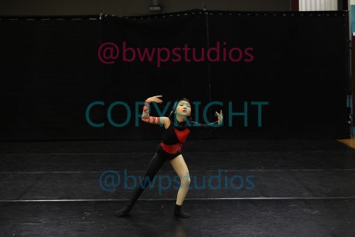 W09 2529