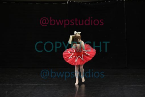W09 2061