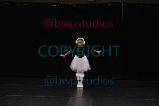 W09 2084