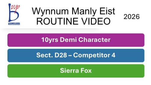 SFox10DemiD28-4