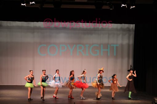 DANCE THEATRE FACTORY 15 Novelty