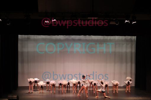 W14 8627