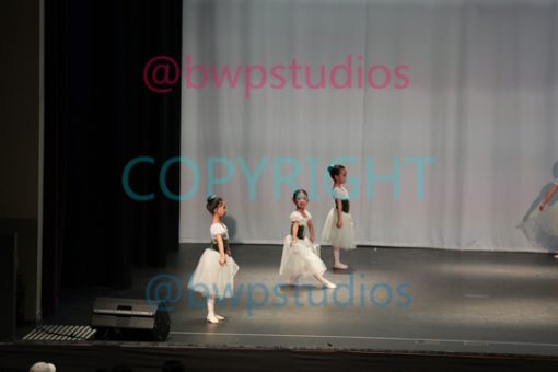 W15 0729