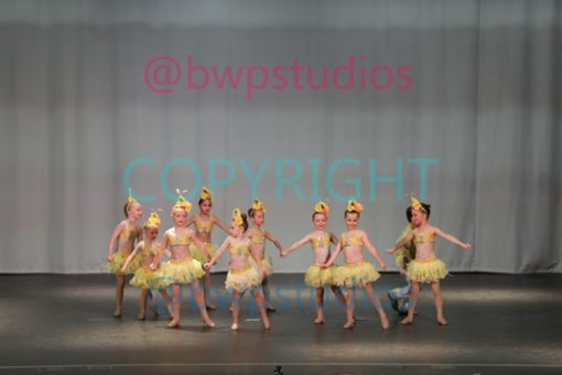 W15 1531