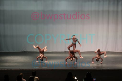 STUDIO1 12 Contemp