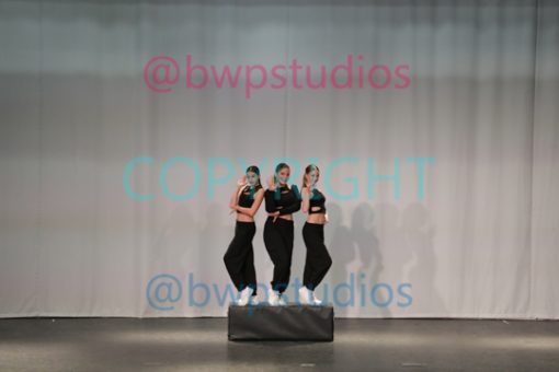 W17 4561